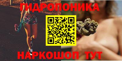 амф Будённовск