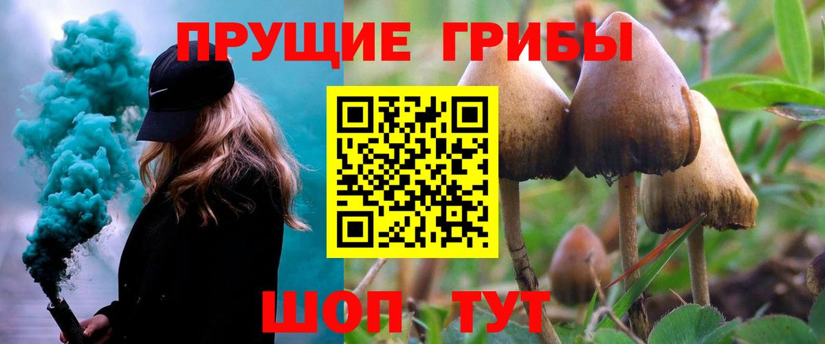 Псилоцибиновые грибы прущие грибы  Псилоцибиновые грибы Magic Shrooms  Курганинск  купить  сайты  Вход с VPN 